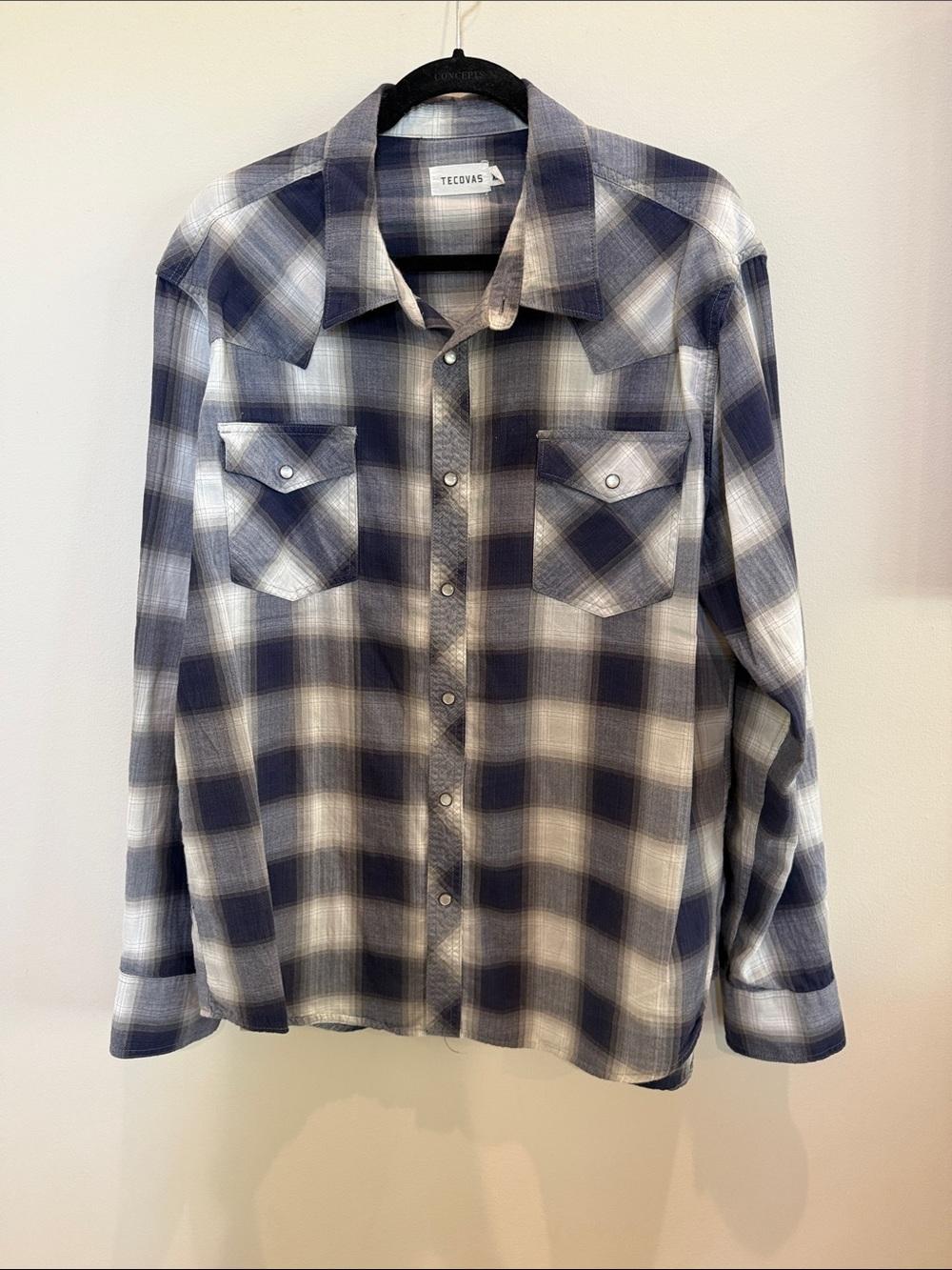 Tecovas Plaid Western Button-Down in Blue and White